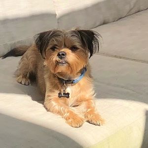 Meet your Posher, Jared